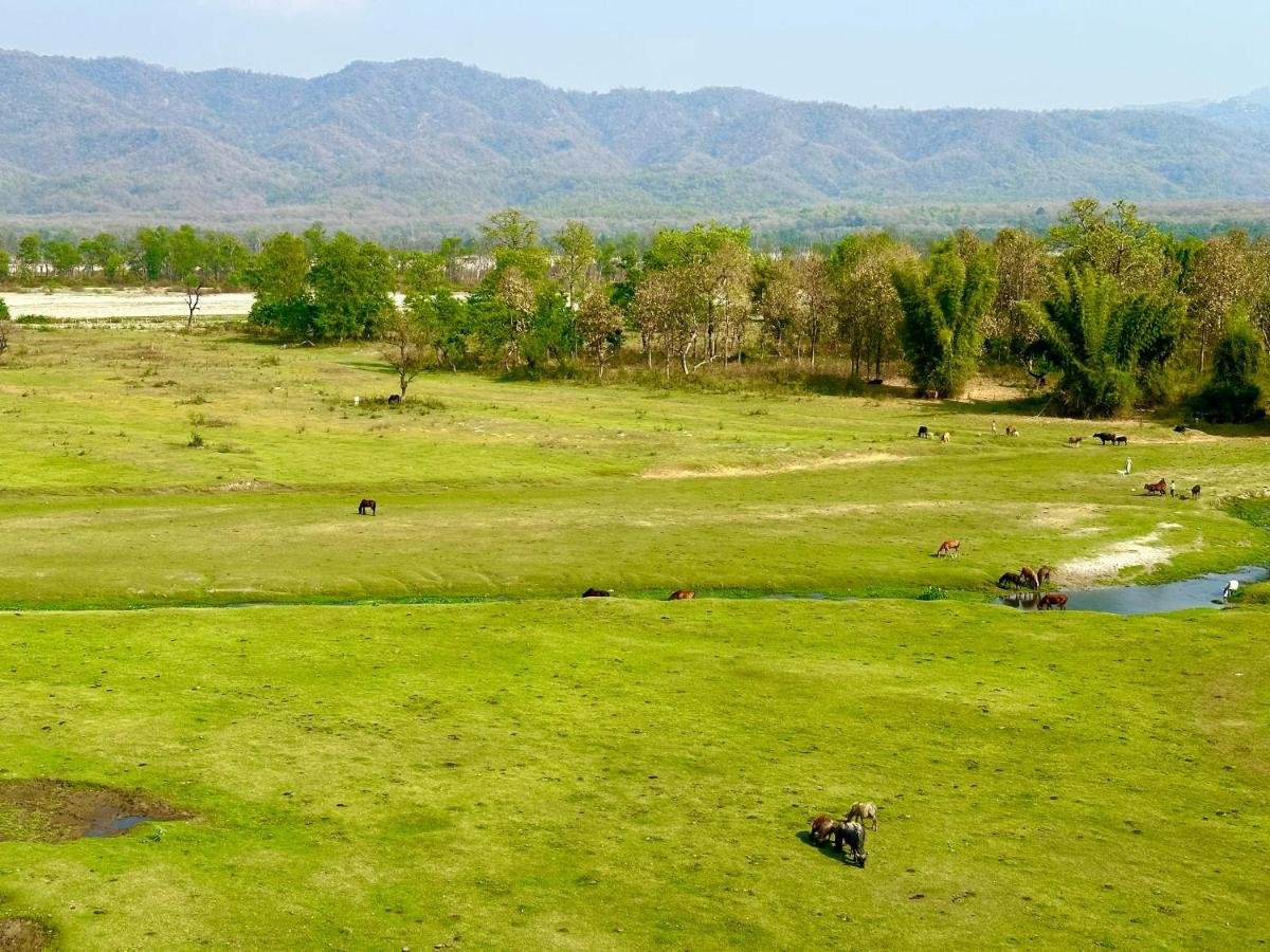 View From India School Of Yoga