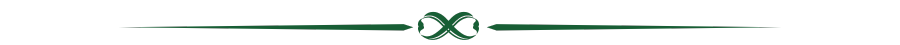 decorative line
